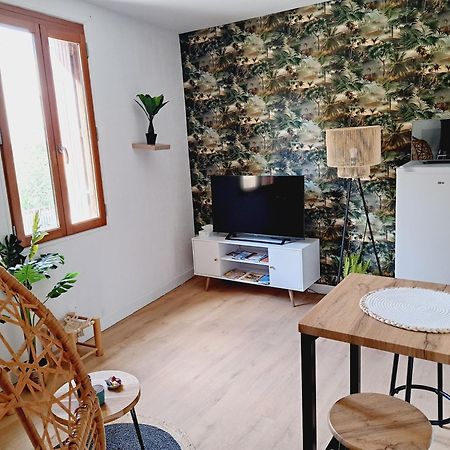 Le Jungle Appart, Centre Ville Narbonne Exterior foto